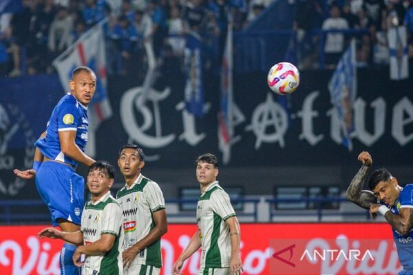Pertarungan Tujuh Tim untuk Selamat dari Zona Degradasi Liga 1 Indonesia